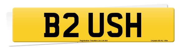 Registration number B2 USH